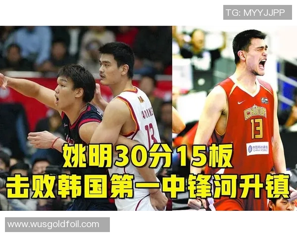 姚明盖帽河升镇的传奇故事与篮球梦想的交汇之旅