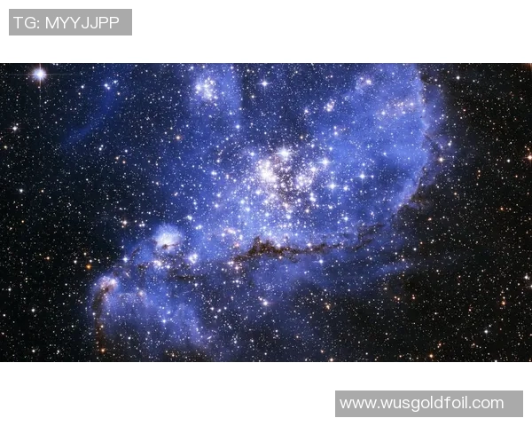 南美洲足球明星的璀璨星空谁是其中的闪耀之星